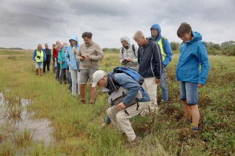 wandelexcursie Waterdunen