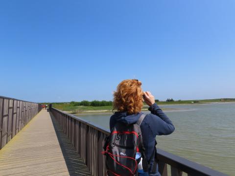 Waterdunen_brug_kijken