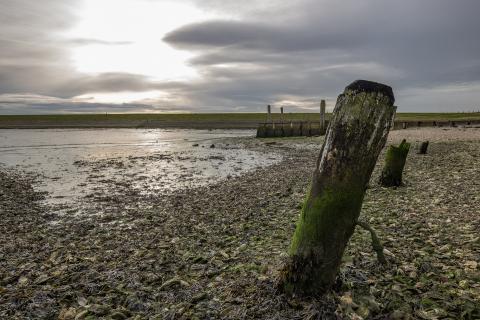 Paalhoofd in Oesterput Inlagen Noord-Beveland