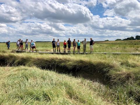 Excursiedeelnemers op Plankierpad in Saeftinghe