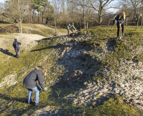 Vrijwilligers bestrijden vogelkers