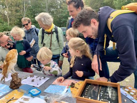 Familie pluist uilenballen uit