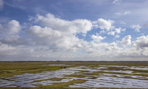 Yerseke Moer overzichtsfoto landschapstekening door kreken