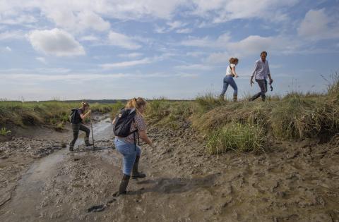 Excursie Saeftinghe wandelen door geulen