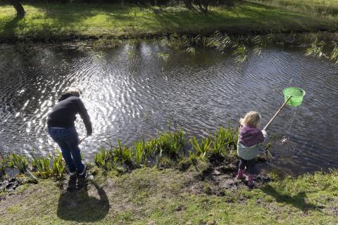 Meisje schept met netje in water 