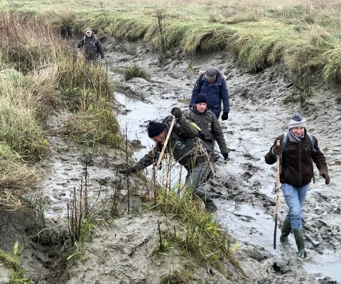Excursie Saeftinghe naar de Schelde