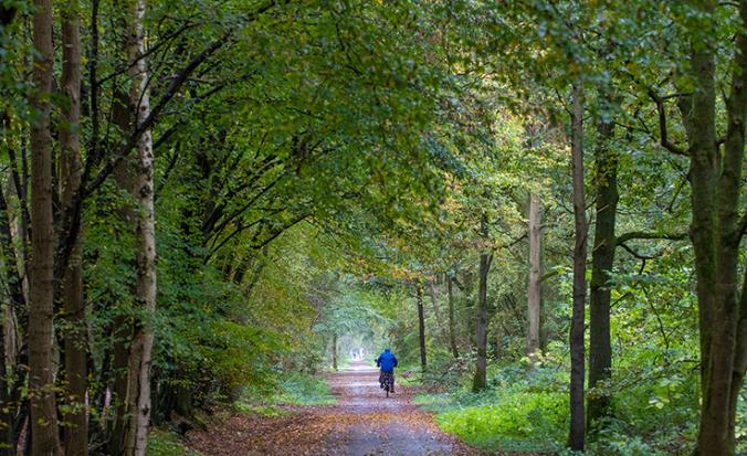 Fietser in een bosrijke omgeving