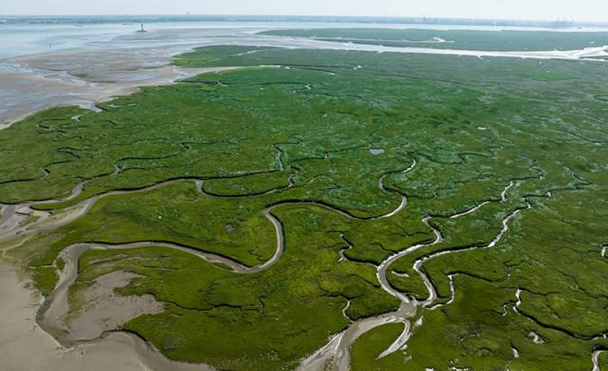 Bovenaanzicht Saeftinghe