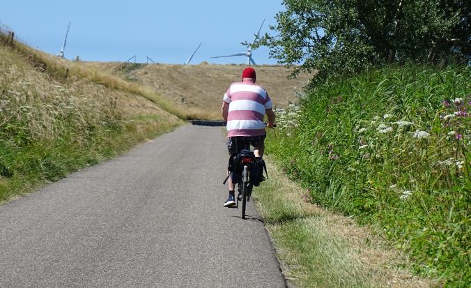 Fietser fiets door het landschap van Noord-Beveland