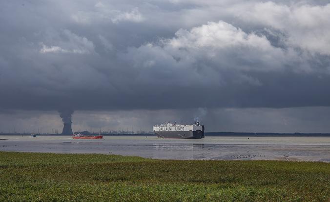 Westerschelde bij Bath
