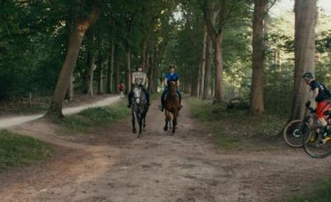 Ruiters in het bos