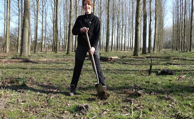 Vrijwilliger plant boom in de Clingse bossen