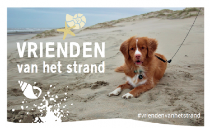 Vrienden van het strand