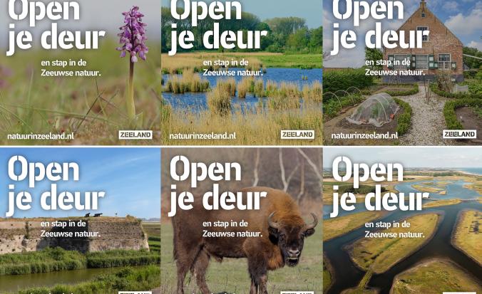 zes uitingen van de Open je deur campagne