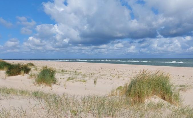 Duinen Oranjezon 2