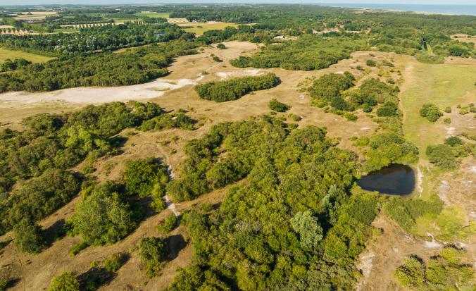 overzicht Oranjezon en landschapselementen