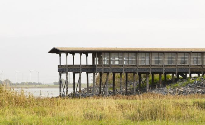 Foto veldstation Saeftinghe