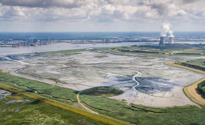 Vogelkijkhut Saeftinghe overzicht Hedwigepolder en Het Verdronken Land van Saeftinghe