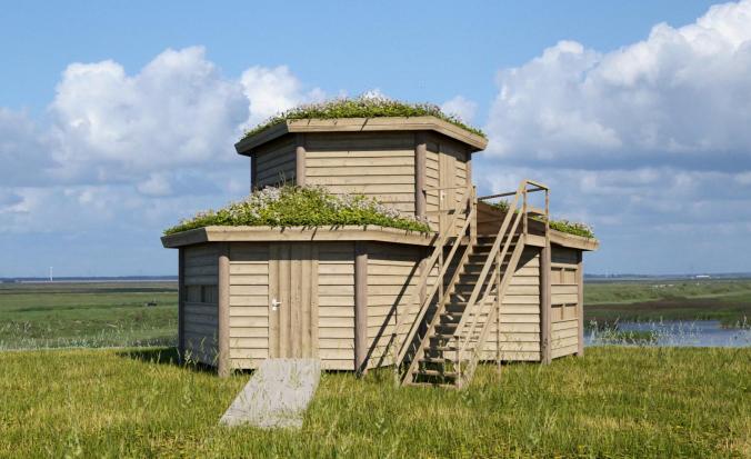 Vogelkijkhut Saeftinghe - artist impression