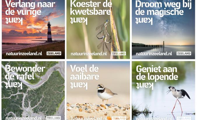 Overzicht van diverse uitingen voor de Zeeuwse Natuur campagne