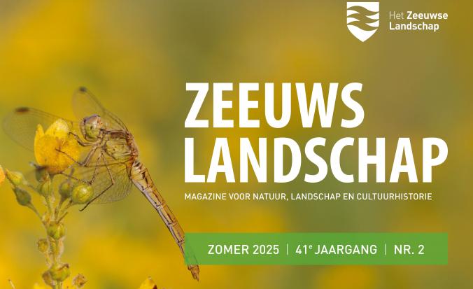 Banner zomernummer 2025