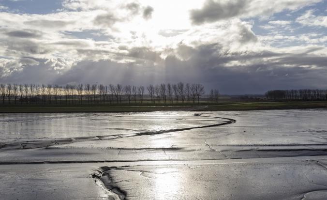 Hedwigepolder