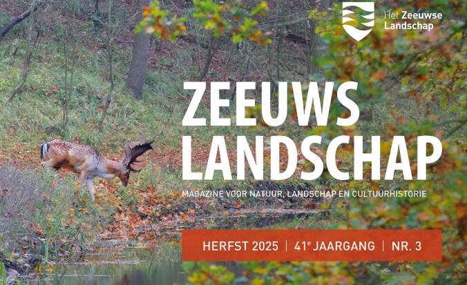 Banner herfsteditie Zeeuws Landschap