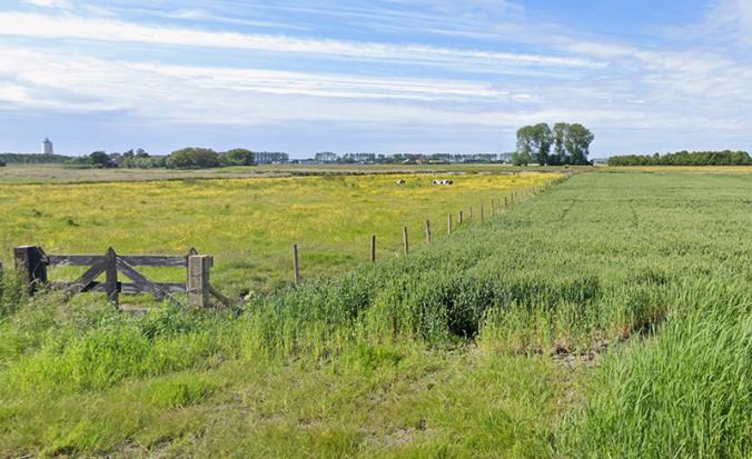 Groote Gat aankoop Zeeuws natuurfonds
