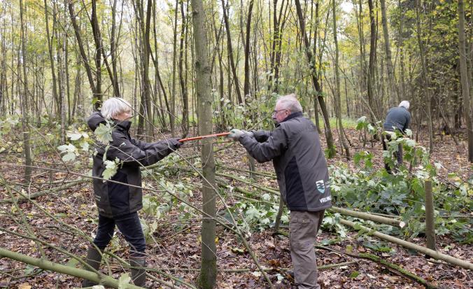 Twee vrijwilligers zagen een boom om