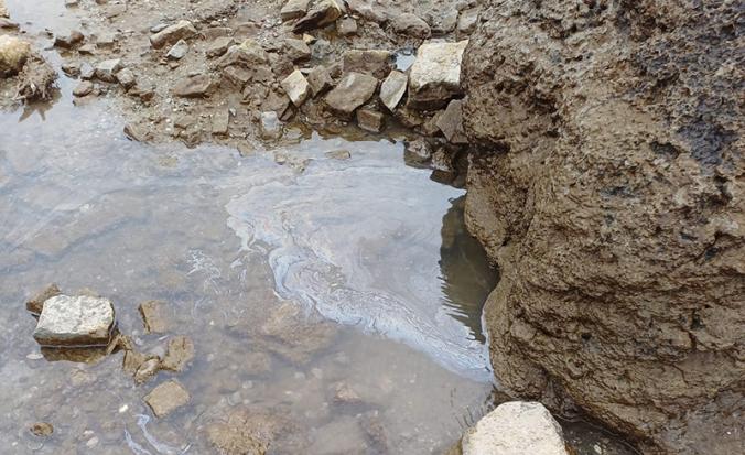 Olievlek in Saeftinghe