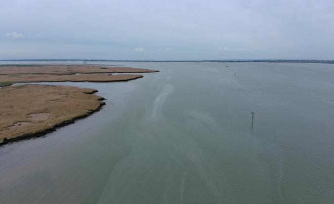 Oliefilmlaag op Saeftinghe