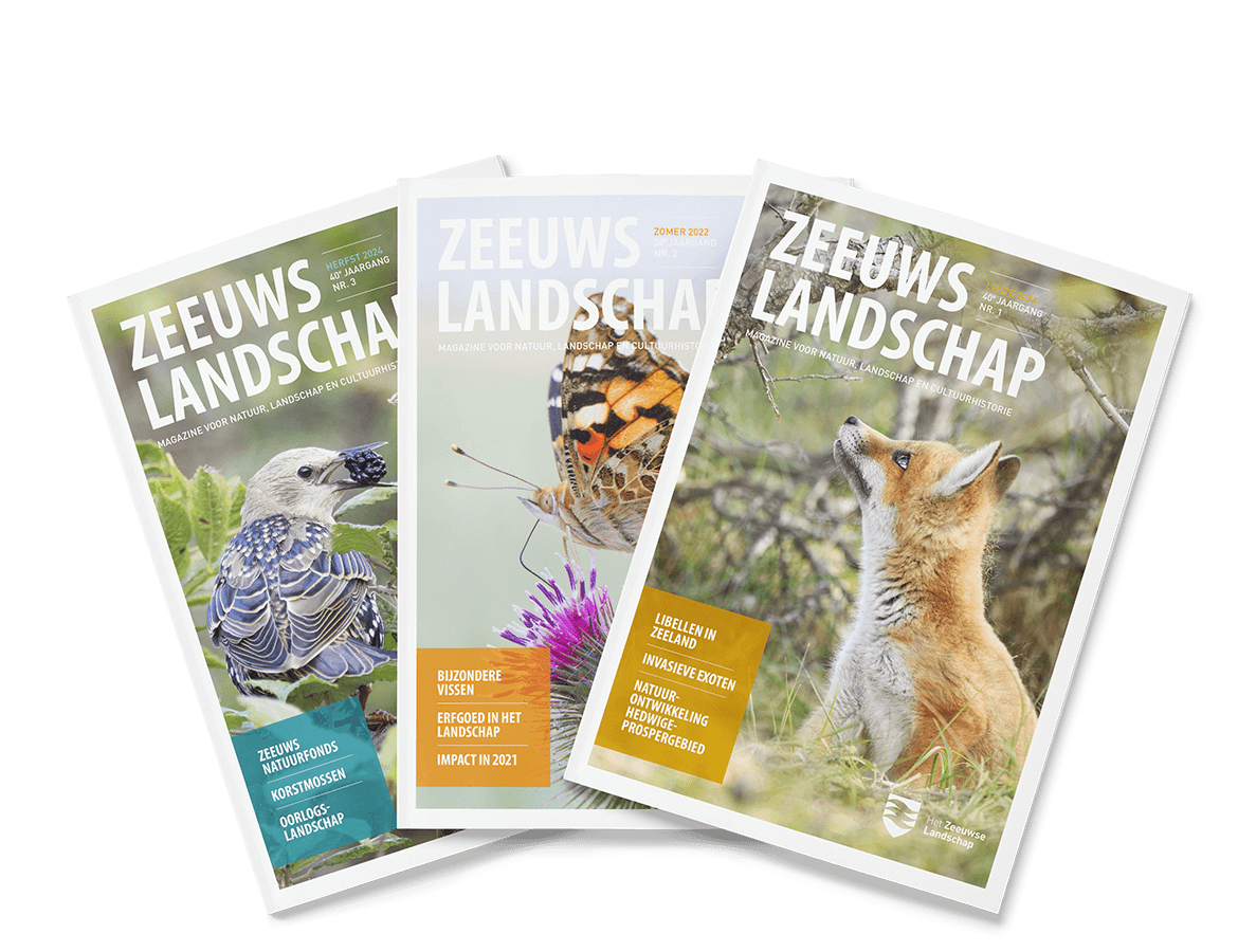 Voorbeelden magazine 'Zeeuws Landschap'